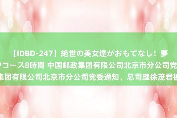 【IDBD-247】絶世の美女達がおもてなし！夢の桃源郷 IP風俗街 VIPコース8時間 中国邮政集团有限公司北京市分公司党委通知、总司理徐茂君被查