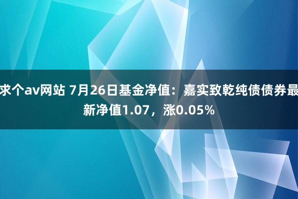 求个av网站 7月26日基金净值：嘉实致乾纯债债券最新净值1.07，涨0.05%