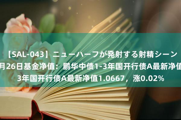 【SAL-043】ニューハーフが発射する射精シーンがあるセックス4 7月26日基金净值：鹏华中债1-3年国开行债A最新净值1.0667，涨0.02%