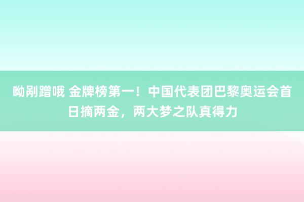 呦剐蹭哦 金牌榜第一！中国代表团巴黎奥运会首日摘两金，两大梦之队真得力