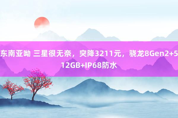 东南亚呦 三星很无奈，突降3211元，骁龙8Gen2+512GB+IP68防水