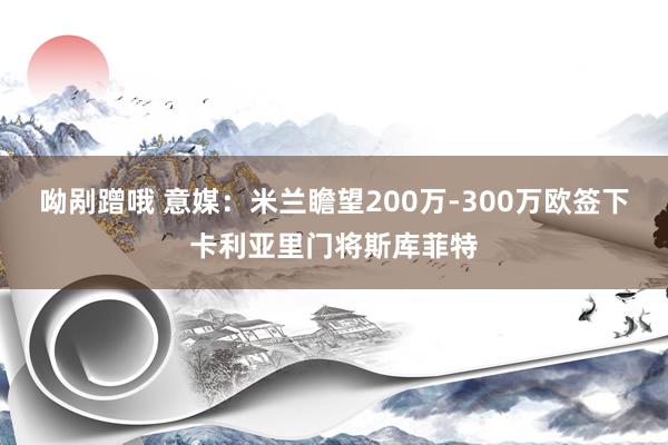 呦剐蹭哦 意媒：米兰瞻望200万-300万欧签下卡利亚里门将斯库菲特