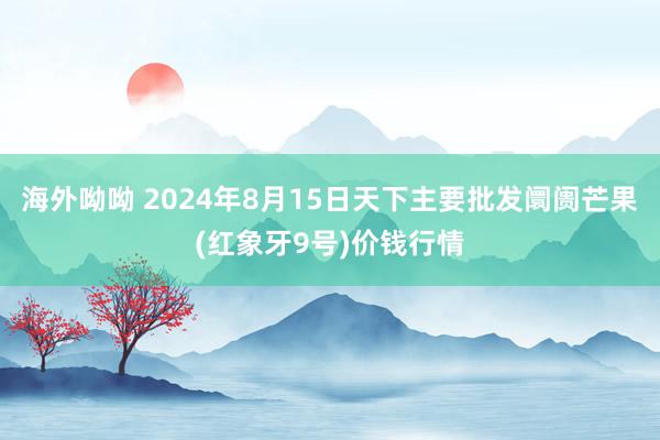 海外呦呦 2024年8月15日天下主要批发阛阓芒果(红象牙9号)价钱行情