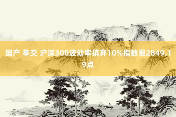 国产 拳交 沪深300波动率摈弃10%指数报2849.19点