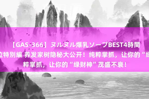 【GAS-366】ヌルヌル爆乳ソープBEST4時間 マットSEX騎乗位特別編 养发家树隐秘大公开！纯粹掌抓，让你的“绿财神”茂盛不衰！