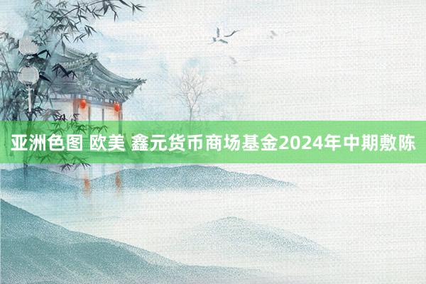 亚洲色图 欧美 鑫元货币商场基金2024年中期敷陈