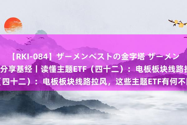 【RKI-084】ザーメンベストの金字塔 ザーメン大好き2000発 24時間 分享基经丨读懂主题ETF（四十二）：电板板块线路拉风，这些主题ETF有何不同？