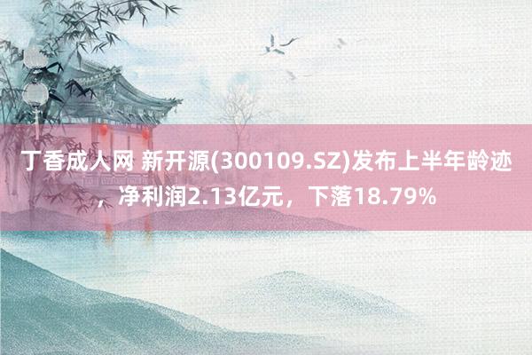 丁香成人网 新开源(300109.SZ)发布上半年龄迹，净利润2.13亿元，下落18.79%