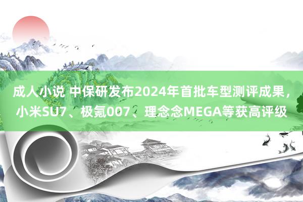 成人小说 中保研发布2024年首批车型测评成果，小米SU7、极氪007、理念念MEGA等获高评级