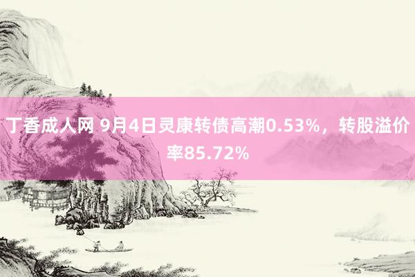 丁香成人网 9月4日灵康转债高潮0.53%，转股溢价率85.72%