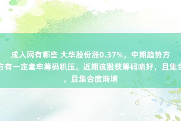 成人网有哪些 大华股份涨0.37%，中期趋势方面，上方有一定套牢筹码积压。近期该股获筹码嗜好，且集合度渐增