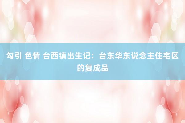 勾引 色情 台西镇出生记：台东华东说念主住宅区的复成品