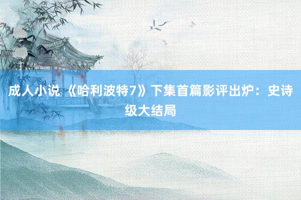 成人小说 《哈利波特7》下集首篇影评出炉：史诗级大结局